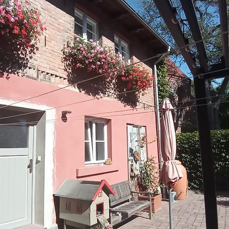 Ferienhaus In Der Historischen Altstadt Von Angermuende Angermunde Εξωτερικό φωτογραφία