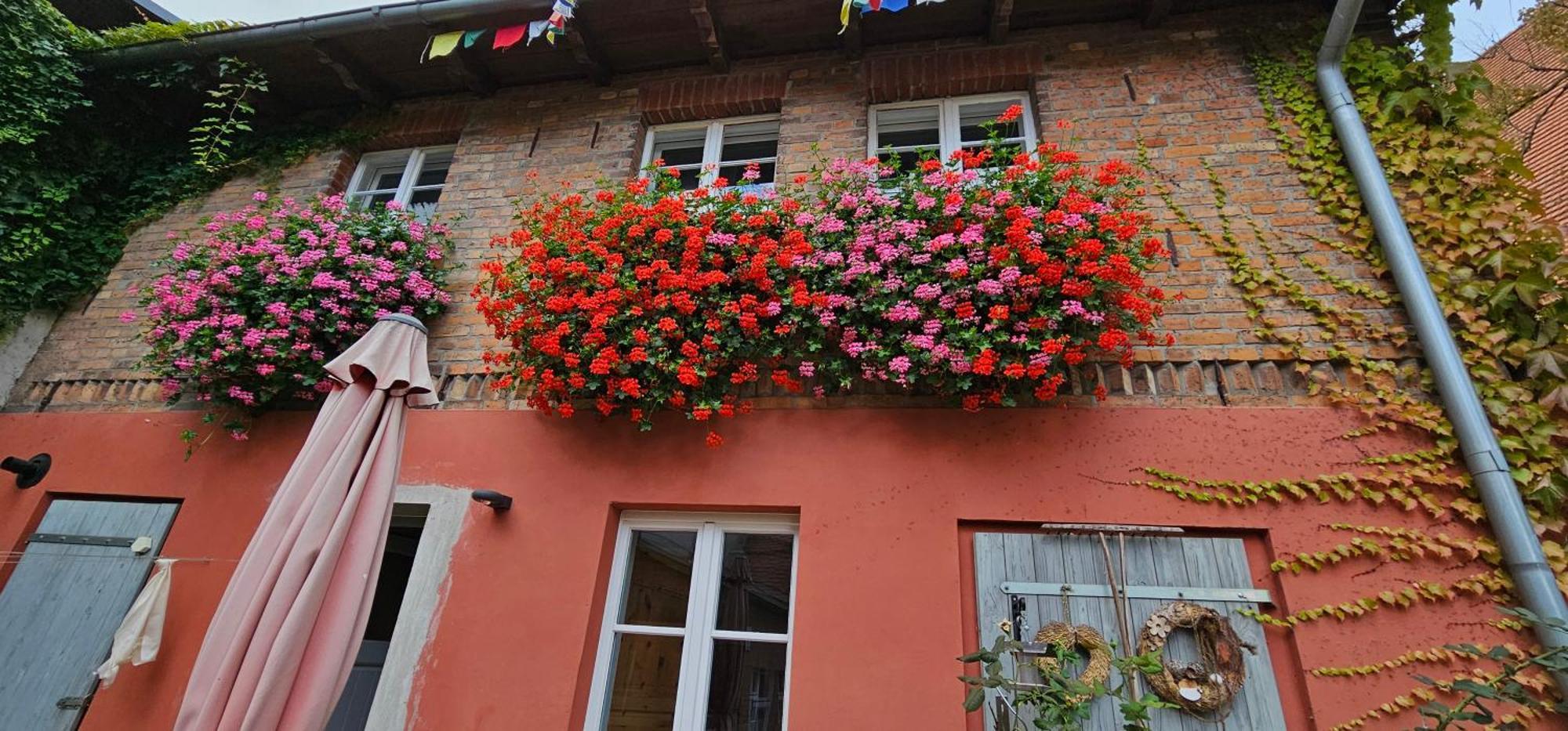 Ferienhaus In Der Historischen Altstadt Von Angermuende Angermunde Εξωτερικό φωτογραφία